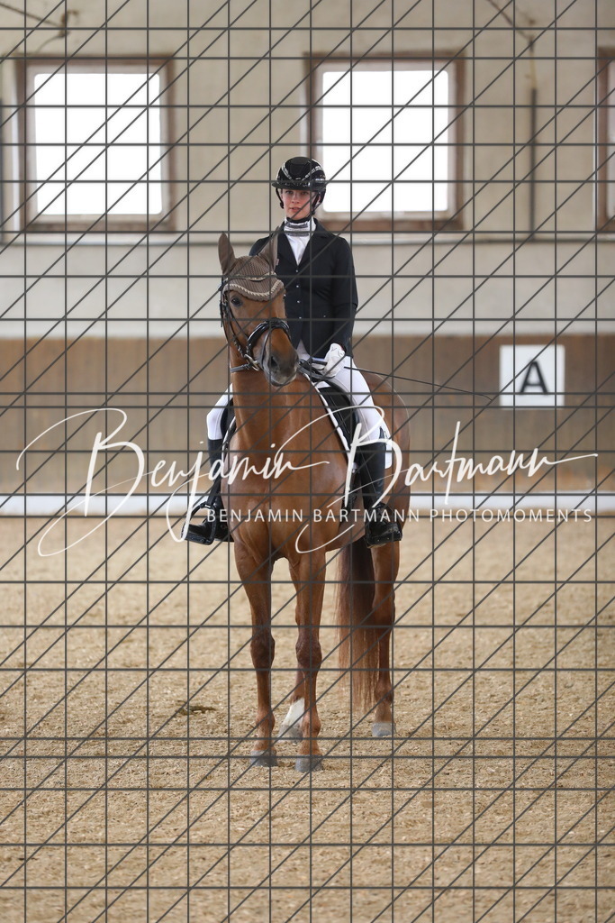 AZ2A0453 | Benjamin Bartmann Photomoments