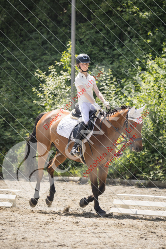 IMG_4600 | Sport-, Event- und Tierfotos in Profiqualität. Einfach auswählen, bestellen und herunterladen. Dein Moment – perfekt festgehalten.
