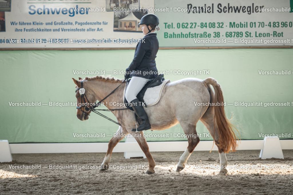 _D5A8914 | Emotionale Pferde- & People-Fotografie rund um Heidelberg, Leimen & Umgebung. Natürliche Fotos von Pferd, Mensch & Familie. Jetzt Termin sichern!