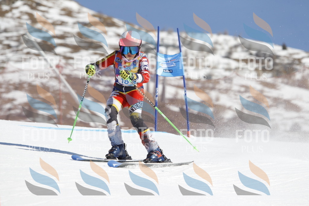 _U3G8814 | holidayphoto