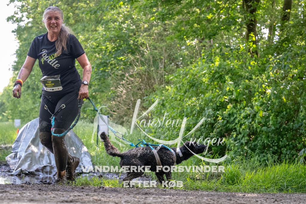 1154_ZZ90119 | kk-dogfotos