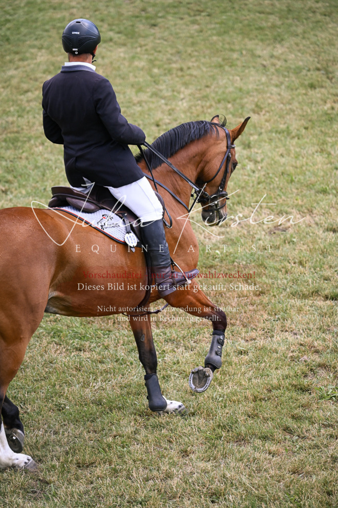 DSC_9399 | Pferde- und Turnierfotografie in Westsachsen. Pferdeportraits, Auftragszeichnungen und intuitive Kunst.
