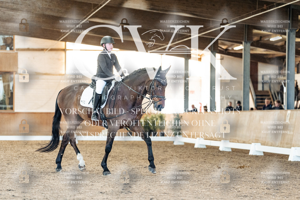 CK907247 | Turnierfotografie Pferdefotografie Trier Rheinland-Pfalz Pferdesport Reitsport Tierfotografie Sportfotografie Pferdevideo Pferdevideografie Equestrianvideography equestrianphotography  - Realisiert mit Pictrs.com