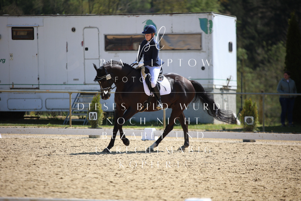 IMGT2099 | pl-fotografie