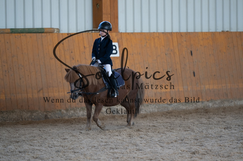 A7V02102 | Pferdefotograf