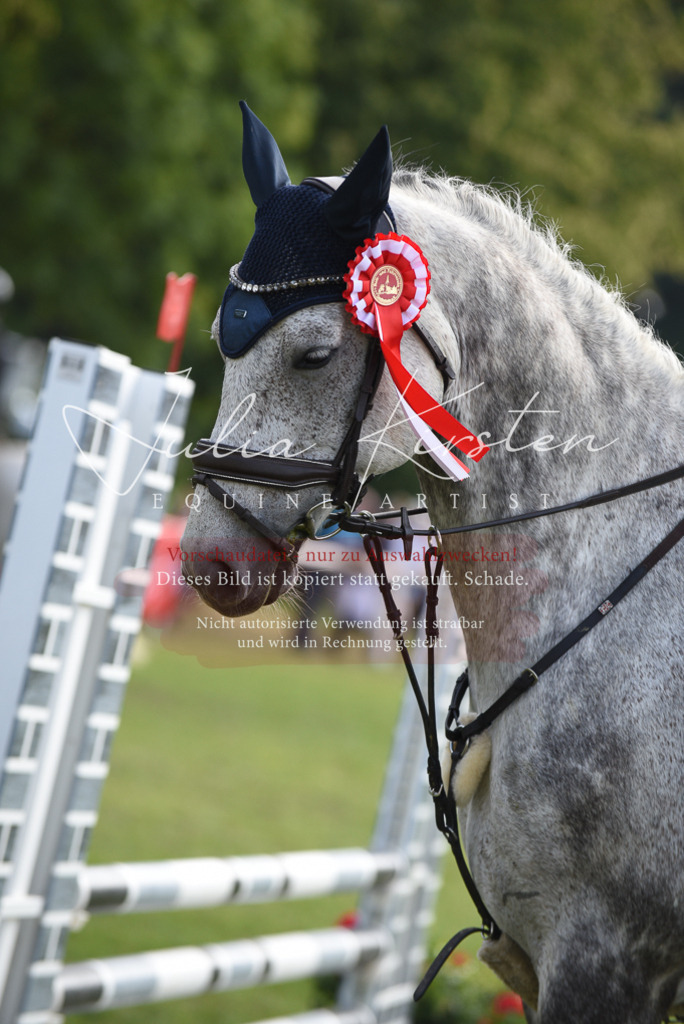 DSC_8978 | Pferde- und Turnierfotografie in Westsachsen. Pferdeportraits, Auftragszeichnungen und intuitive Kunst.