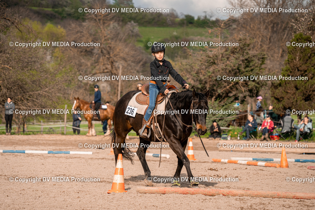 BAL02911 | dv-media-shop - Realisiert mit Pictrs.com