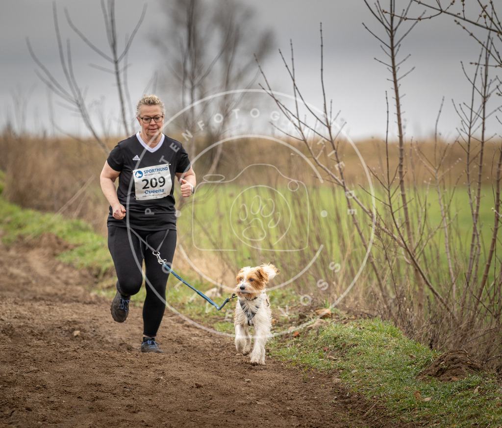 DV3A2600 | Hundefotografie, Tierfotograf, Pfotenfotografie, Fotoshooting Hund, Hunde Portrait, Hundesport, Hundeportraits, Heideshooting, Hunde, Sportfotograf, Hundefotograf, Turnierhundsport, THS,  - Realisiert mit Pictrs.com