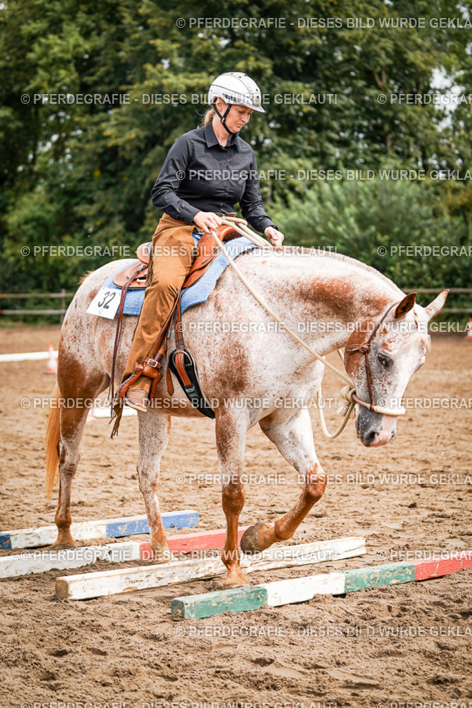 DSC04165 | Pferdegrafie