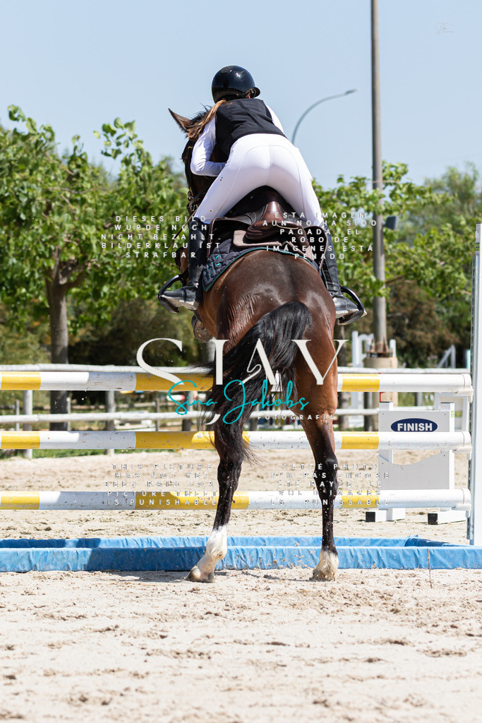 IMG_0468 | s-jay-photography - Realisiert mit Pictrs.com