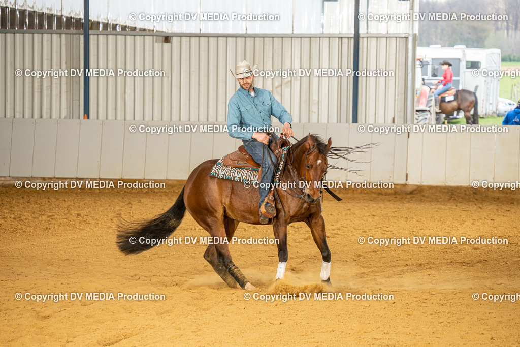 MIT01129 | dv-media-shop - Realisiert mit Pictrs.com