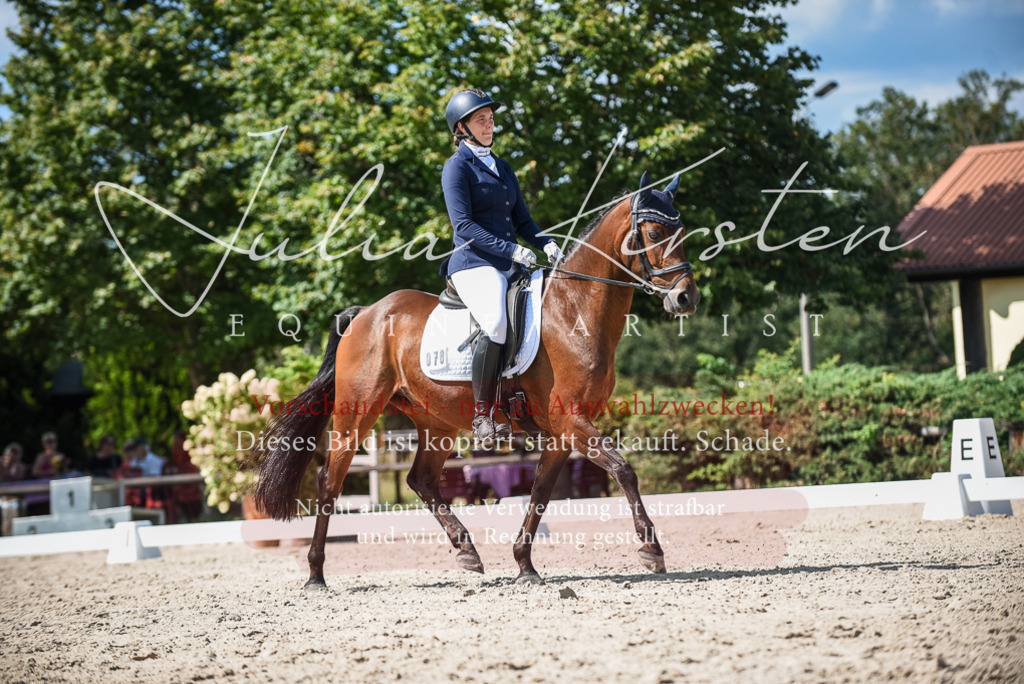 DSC_9435 | Pferde- und Turnierfotografie in Westsachsen. Pferdeportraits, Auftragszeichnungen und intuitive Kunst.