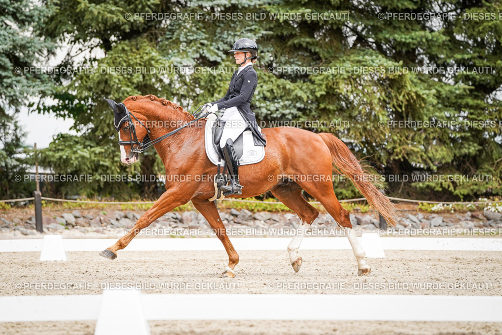 DSC05644 | Pferdegrafie