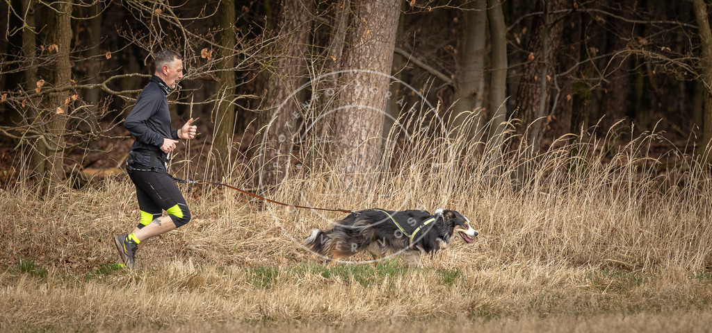 DV3A4145 | Hundefotografie, Tierfotograf, Pfotenfotografie, Fotoshooting Hund, Hunde Portrait, Hundesport, Hundeportraits, Heideshooting, Hunde, Sportfotograf, Hundefotograf, Turnierhundsport, THS,  - Realisiert mit Pictrs.com