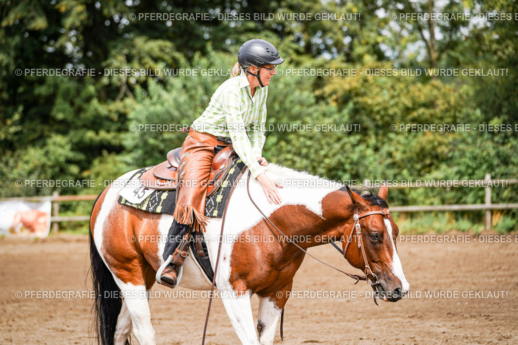 DSC07259 | Pferdegrafie