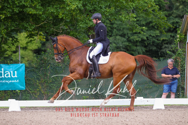 DKP41355 | Turniersportfotografie; Pferdefotografie; Dressurfotografie