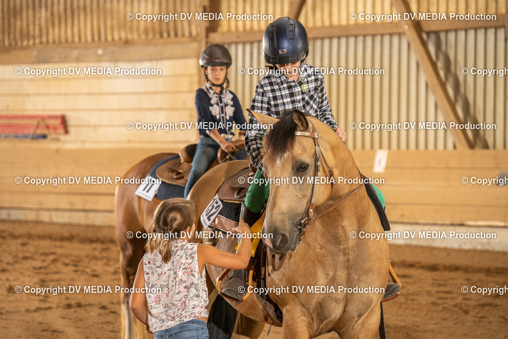 NID02917 | dv-media-shop - Realisiert mit Pictrs.com