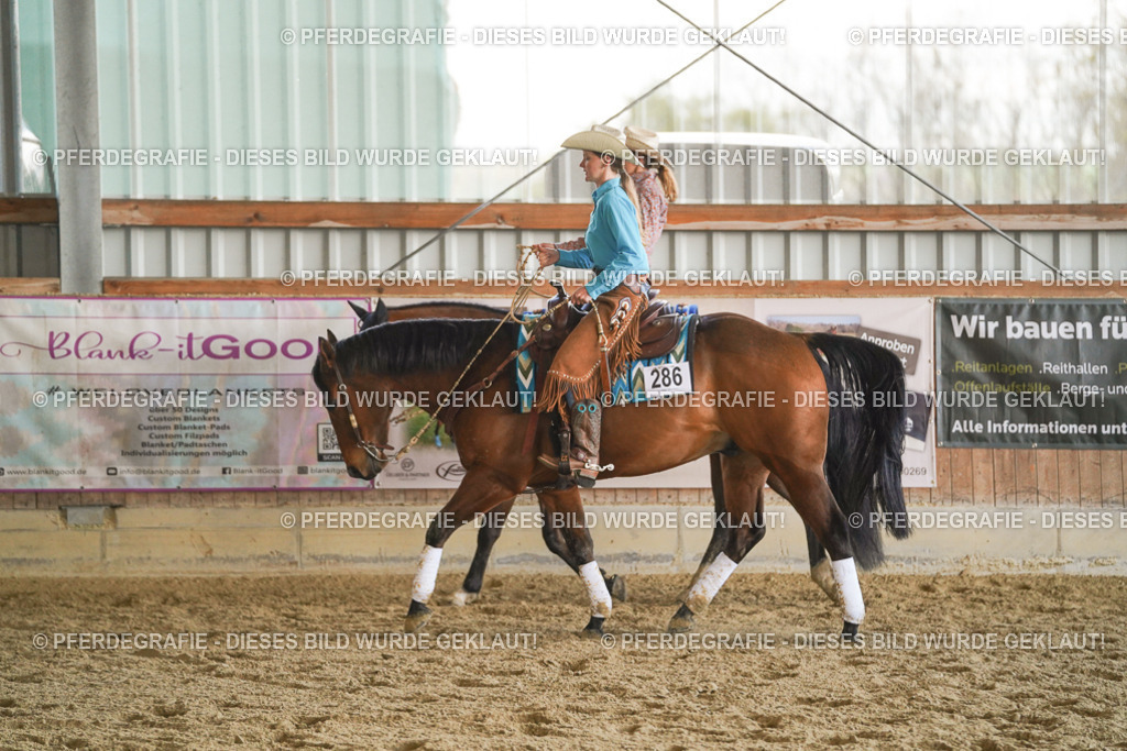 DSC07795 | Pferdegrafie