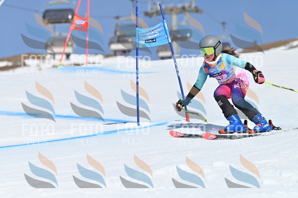 BGV_9402 | holidayphoto