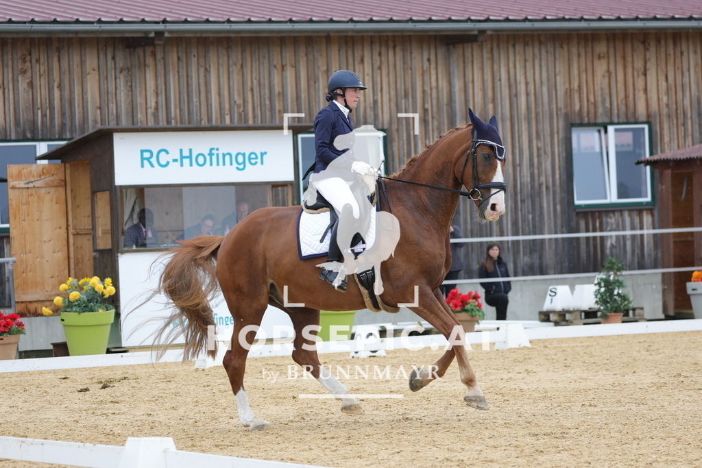 0P6A0024 | Willkommen bei Brunnmayr - Design & Fotografie – Ihrem Spezialisten für Reitturniere und Pferdeveranstaltungen in Oberösterreich, Salzburg und Bayern! Seit über 17 Jahren sind wir leidenschaftlich dabei.