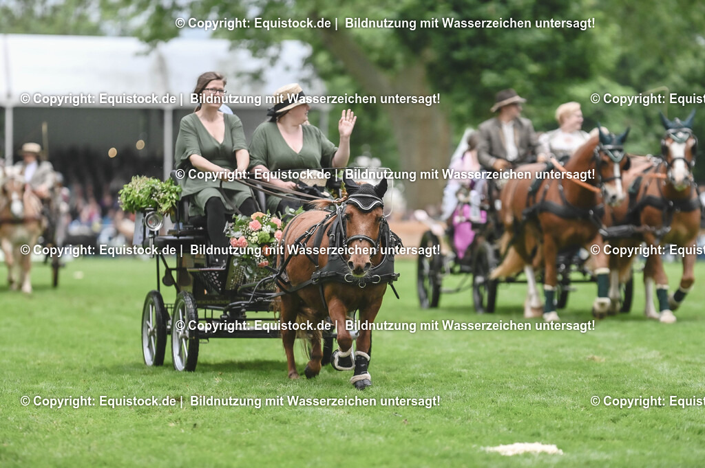 20240517_Lange-Pferdenacht_0143 | Foto: Thomas Hartig