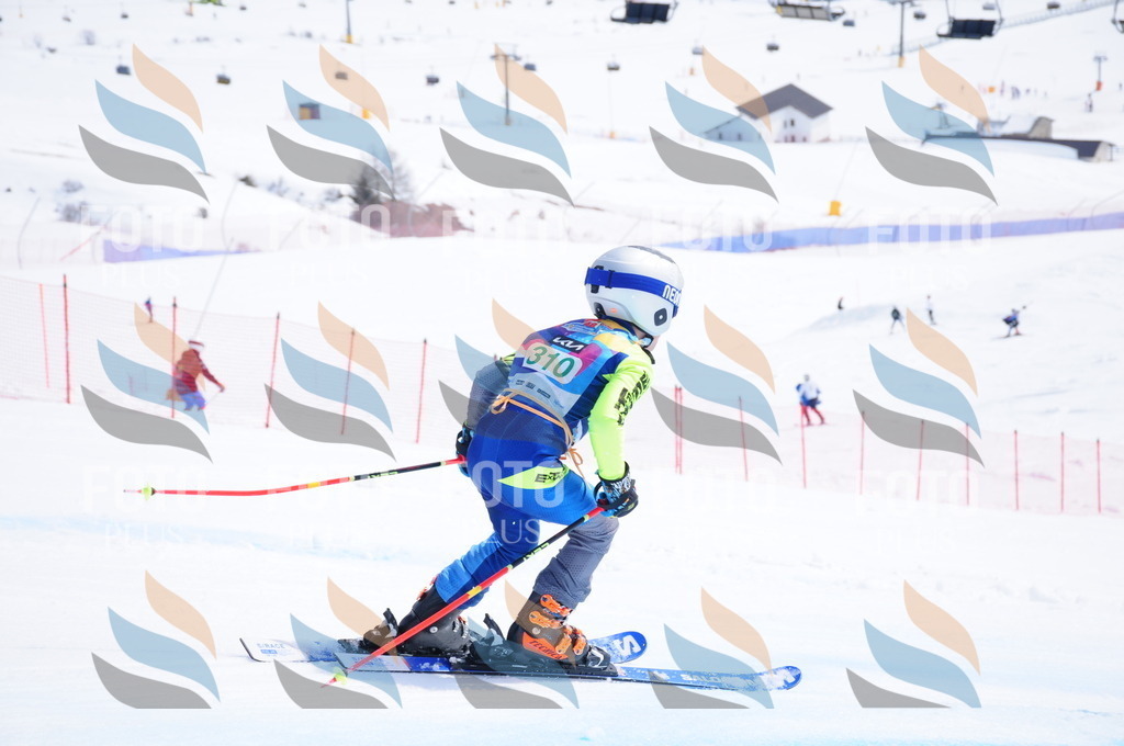 DSC_3003 | holidayphoto