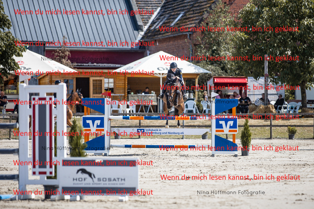 BK1A6604 | Turnierbilder Turnierfotos Nina Hüffmann Turnierfotografie Pferdefotografie Tierzeichnung Haustierzeichnung Pferdezeichnung Hundezeichnung Videograf  - Realisiert mit Pictrs.com