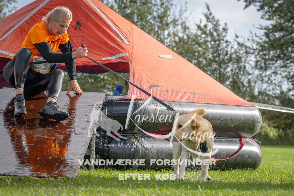 1212-92784 | kk-dogfotos