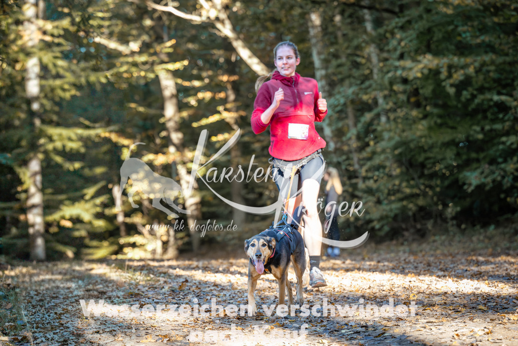 1001_ZZ98952 | kk-dogfotos