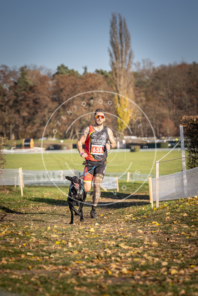 CaniXpix_DV3A0601 | Hundefotografie, Tierfotograf, Pfotenfotografie, Fotoshooting Hund, Hunde Portrait, Hundesport, Hundeportraits, Heideshooting, Hunde, Sportfotograf, Hundefotograf, Turnierhundsport, THS,  - Realisiert mit Pictrs.com