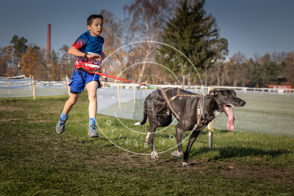 CaniXpix_0L8A8900 | Hundefotografie, Tierfotograf, Pfotenfotografie, Fotoshooting Hund, Hunde Portrait, Hundesport, Hundeportraits, Heideshooting, Hunde, Sportfotograf, Hundefotograf, Turnierhundsport, THS,  - Realisiert mit Pictrs.com