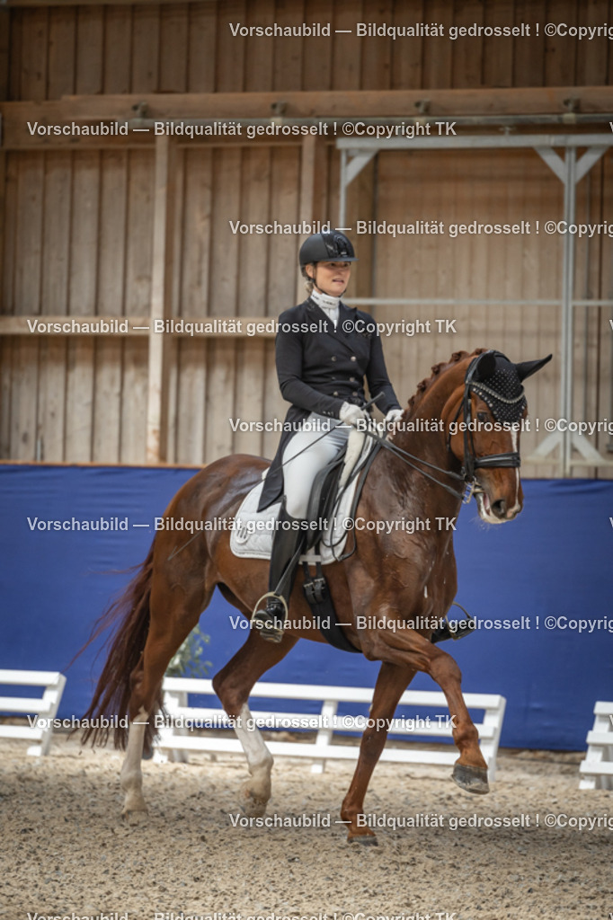 _D5A2689 | Emotionale Pferde- & People-Fotografie rund um Heidelberg, Leimen & Umgebung. Natürliche Fotos von Pferd, Mensch & Familie. Jetzt Termin sichern!