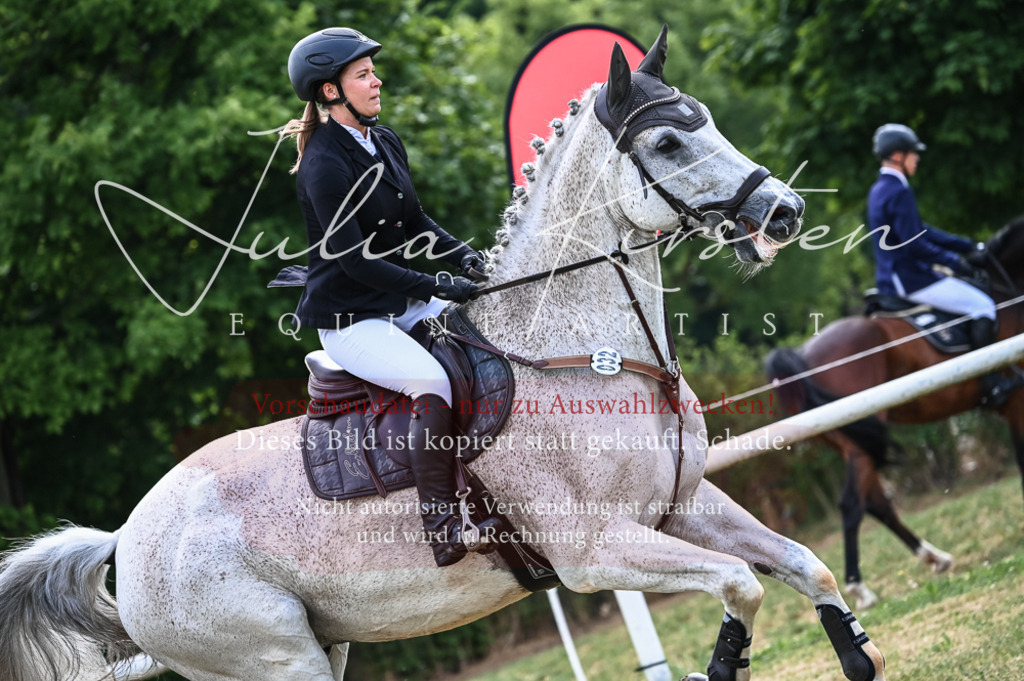DSC_8339 | Pferde- und Turnierfotografie in Westsachsen. Pferdeportraits, Auftragszeichnungen und intuitive Kunst.