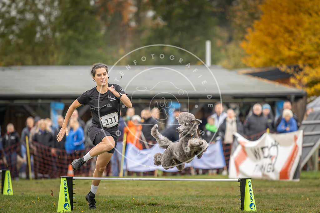 Pfotenfotografie_DV3A3063 | Hundefotografie, Tierfotograf, Pfotenfotografie, Fotoshooting Hund, Hunde Portrait, Hundesport, Hundeportraits, Heideshooting, Hunde, Sportfotograf, Hundefotograf, Turnierhundsport, THS,  - Realisiert mit Pictrs.com