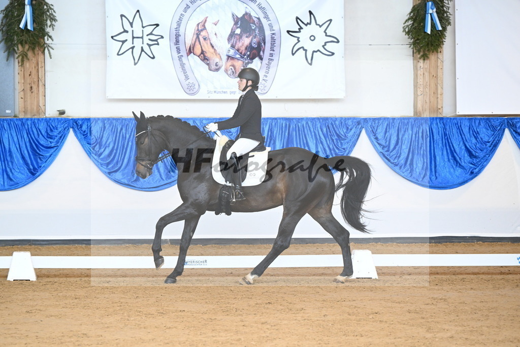 Hironimus-Dalic_Pfingstrose_7_10230717 | hf-fotografie - Realizzato con Pictrs.com