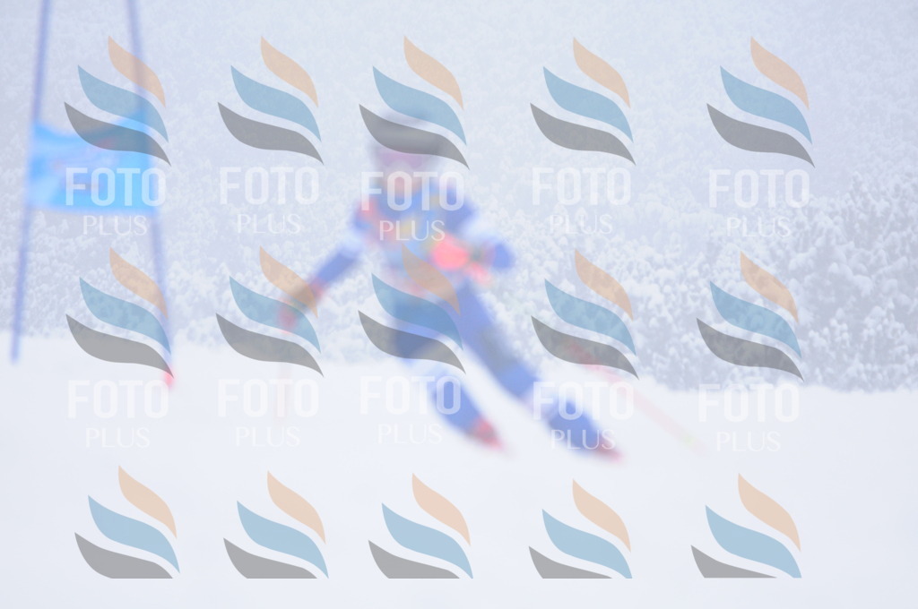 C2174 | holidayphoto