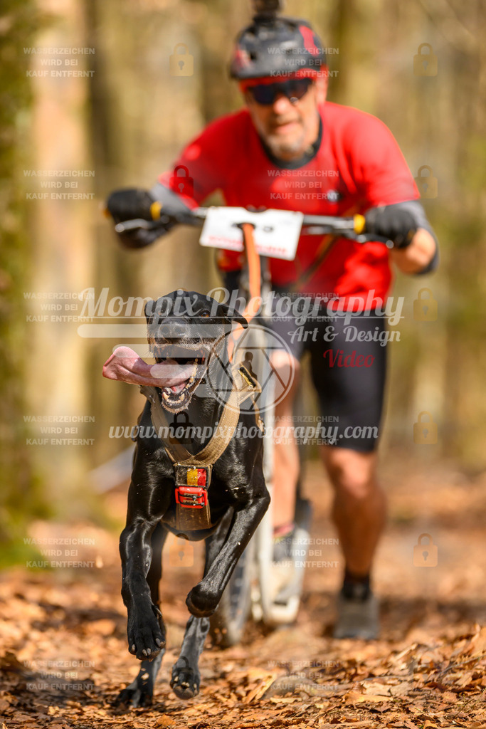 MompixPhotography_Habay2025_SA_SCO-53 | PayLife