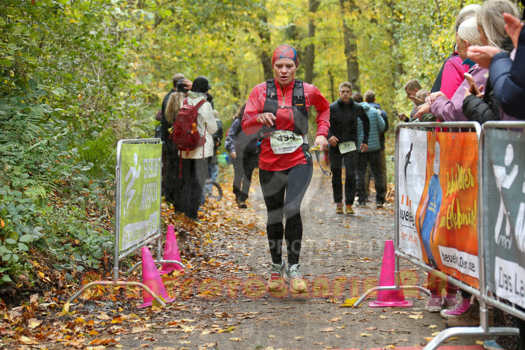 251026_1258_EX1_2057 | Sportfotografie im Rhein-Sieg Kreis, Köln, Bonn, NRW, Rheinland Pfalz, Hessen, etc. Unser Tätigkeitsfeld umfasst den Laufsport vom Volkslauf über den Marathon, Duathlon, Triathon bis zum Ultralauf wie Kölnpfad Ultra oder Schindertrail.