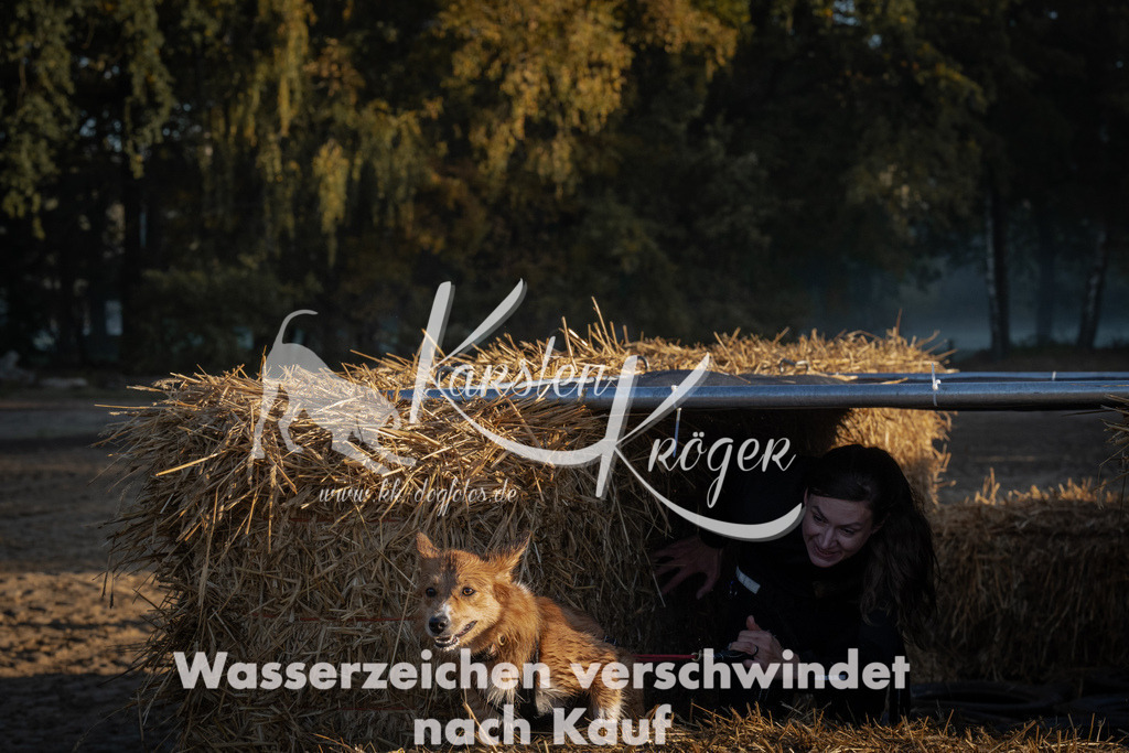 0920_ZZ92411 | kk-dogfotos