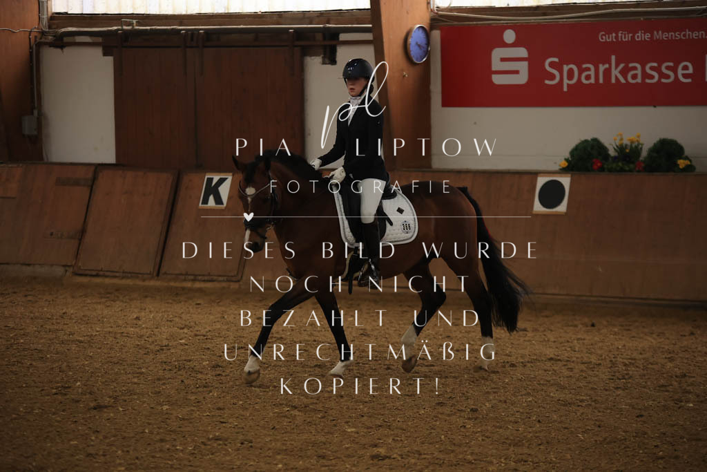 IMGT0252 | pl-fotografie