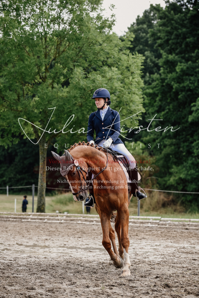 DSC_9900 | Pferde- und Turnierfotografie in Westsachsen. Pferdeportraits, Auftragszeichnungen und intuitive Kunst.