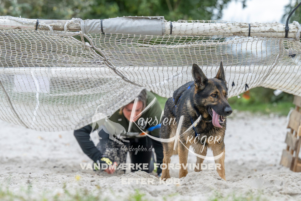 1039_ZZ94818 | kk-dogfotos