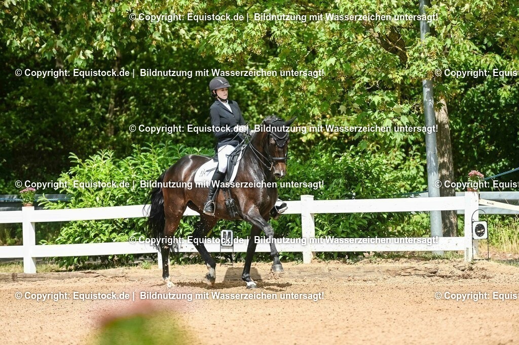 20230716_01_Dressurprüfung Kl.M_0045 | equistock