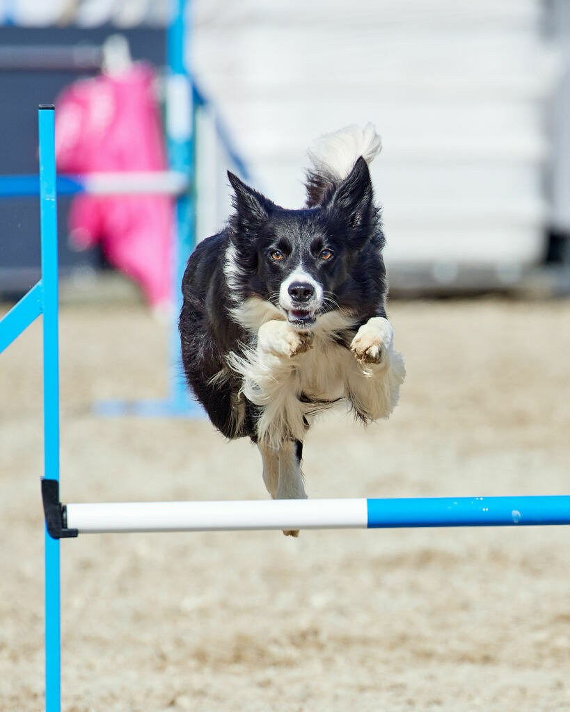 580A0184 | Peter Fridle Fotografie - Realisiert mit Pictrs.com