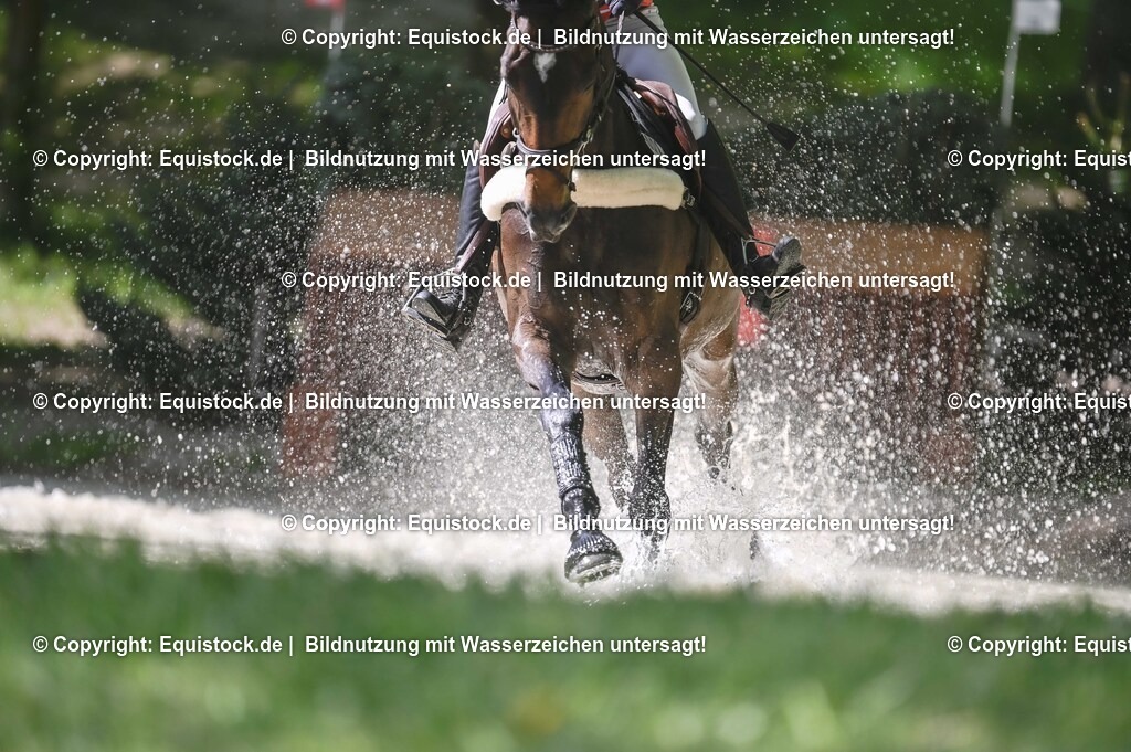 20250517_CCI2_Gelände_0962 | Foto: Thomas Hartig