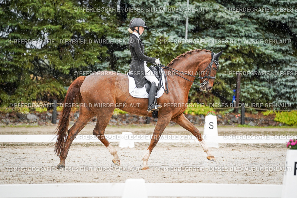 DSC09220 | Pferdegrafie