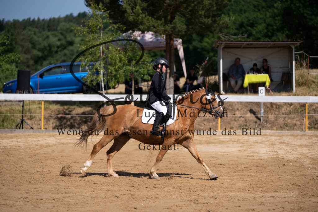 A7V07877 | Turnier/Reitfotograf
