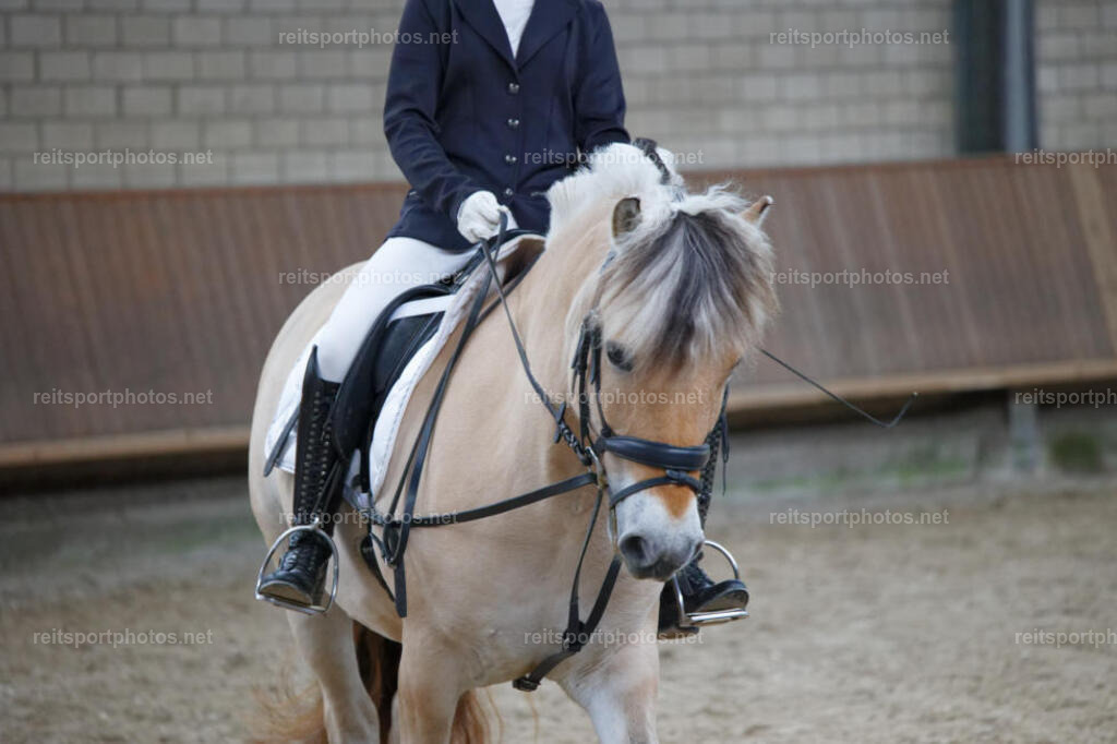 JHE_5213 | JoYa Fotografie - Realisiert mit Pictrs.com