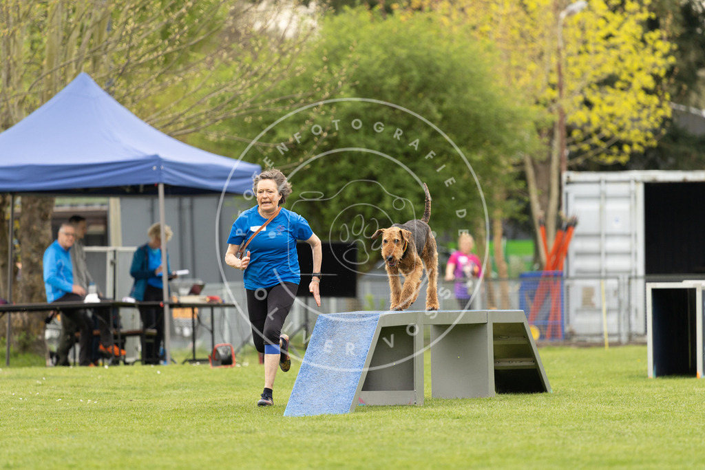 Pfotenfotografie_DV3A9008 | Hundefotografie, Tierfotograf, Pfotenfotografie, Fotoshooting Hund, Hunde Portrait, Hundesport, Hundeportraits, Heideshooting, Hunde, Sportfotograf, Hundefotograf, Turnierhundsport, THS,  - Realisiert mit Pictrs.com