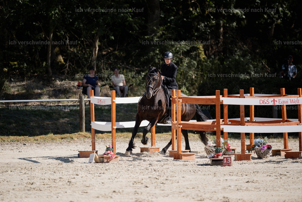 WM_ST_132_stoibphotography__SO12024 | working equitationturnier fotograf videograf stoibphotography marixx film working equitation deutschland reitsport turnierfotografie eventfotografie equestrian events